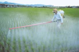 Pesticides products
